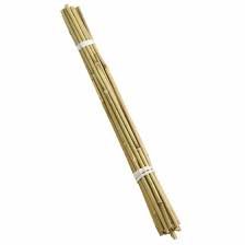 Bamboo Canes – Multiple Sizes