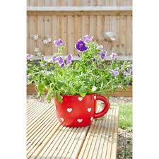 Smart Garden Teacup Heart Planter