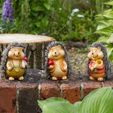 Smart Garden Baby Hoglet Mixed Case