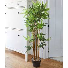 Smart Garden Bamboo