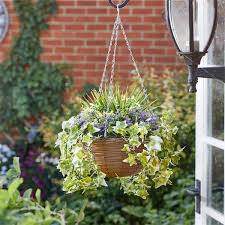 Smart Garden Regal Basket Lilac Bloom