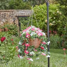Smart Garden Regal Basket Summer Bloom