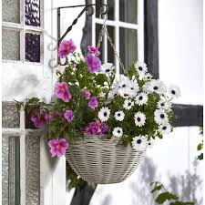 Smart Garden 14 Inch Seashell Faux Rattan Hanging Basket