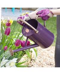 Smart Garden Watering Can 4.5L
