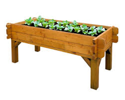 Raised Veggie Box