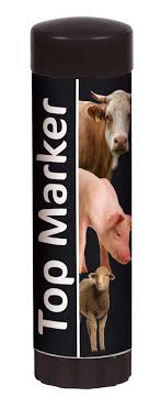 Livestock Marking Sticks (All Colours)