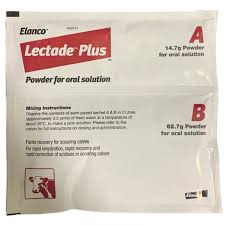 Lectade Plus Electrolyte Sachets