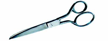 Straight Scissors 8.25"