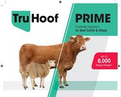 TruHoof Prime 20L