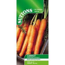Carrot Seeds - Amsterdam Forcing 3 (Suttons)