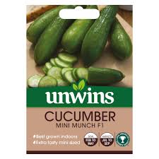 Cucumber Seeds – Mini Munch F1 (Unwins)