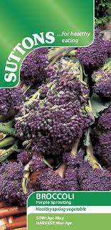 Broccoli Seeds – Purple Sprouting (Suttons)