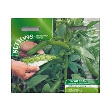 Broad Bean Masterpiece Green Longpod (Suttons)