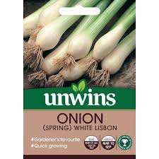 Spring Onion Seeds – White Lisbon (Unwins)