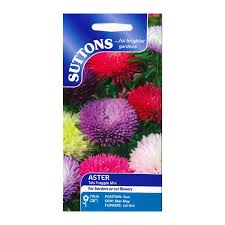 Aster Seeds – (Suttons)
