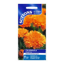 Calendula Seeds Orange King (Suttons)