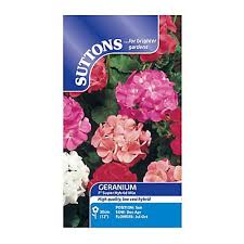 Suttons Super hybrid Geranium Seed