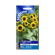 Sunflower Seeds Waooh (Suttons)