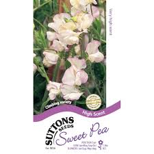 Sweet Pea Seeds High Scent – (Suttons)