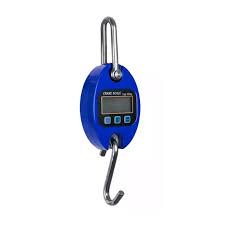 VP Digital Blue Scales (Up to 300kg)