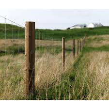 Octo Timber Fence Posts (Tanalith E Treated)
