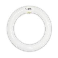 Solus 22W 4 PIN G10Q T9 Circular Tube