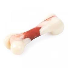 Zoon Nylon Tuffbone And Tuffstick Range
