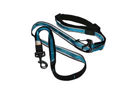 Kurgo Quantum Leash Reflect & Protect Blue