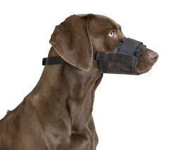 Dog Muzzle Range
