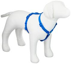 Trixie Premium Blue Dog H Harness Range
