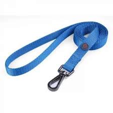 Zoon Walkabout Dog Lead Blue Range