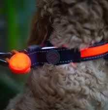 Zoon LED Dog Visibility Tag Range