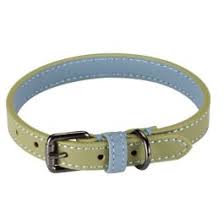 Zoon Walkabout Dog Collar Range