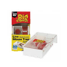 Multi Mouse LIVE CATCH Trap SMALL ( Traps 4 Mice )