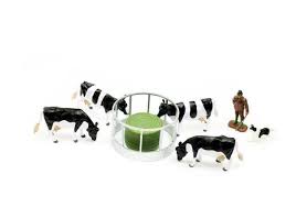 Cattle Feeder Set