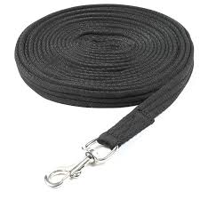 Shires Cushion Web Lunge Line