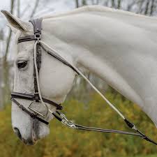 Shires Avignon De Gogue Training Aid