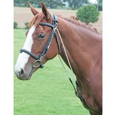 Shires Chambon Training Aid