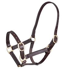 Velociti Gara Adjustable Leather Headcollar Full Brown