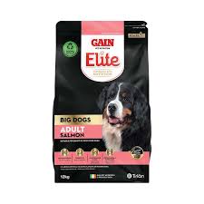 Gain Big Dog Adult Salmon 12kg