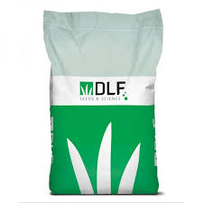 DLF Horse Paddock Grass Seed
