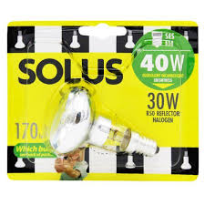 Solus Reflector Halogen Bulbs (R50 & R63 Options)