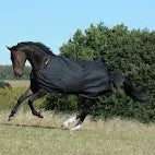 Bucas Irish Turnout Lite