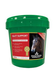 Global Herbs Gut Support