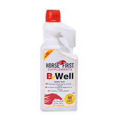 Horse First B Well Vitamin B Complex 1l