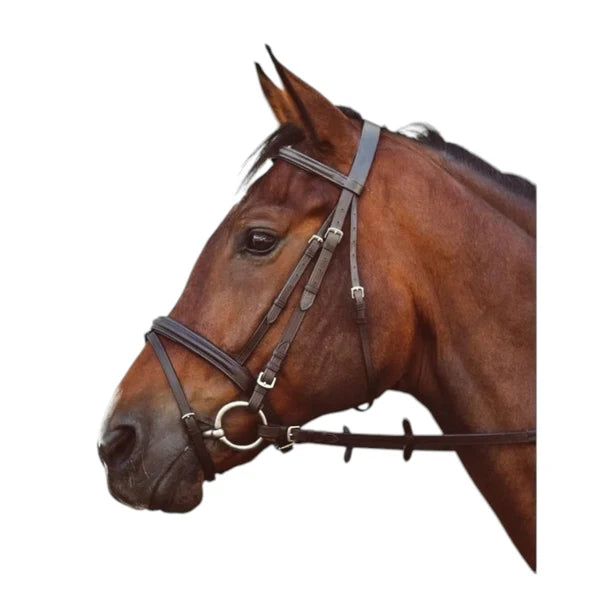 Equisential Bridle & Rein Set (Multiple Options)