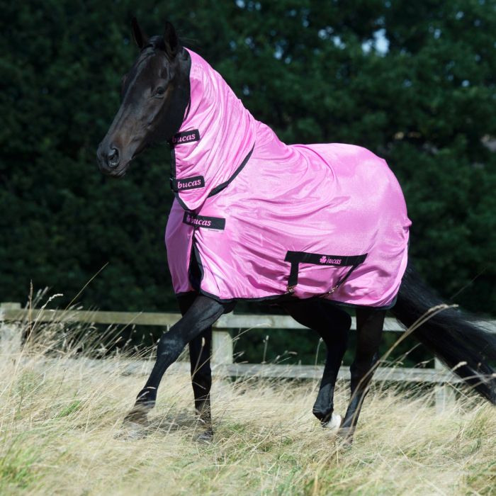 Bucas Freedom Fly Sheet Spicy Pink