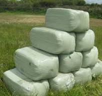 Haylage 25kg