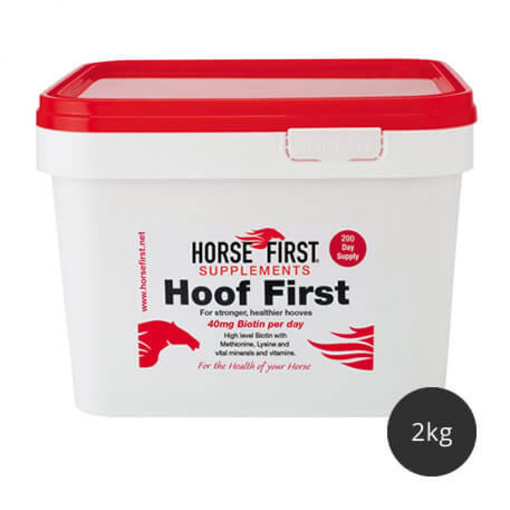 Horse First Hoof First