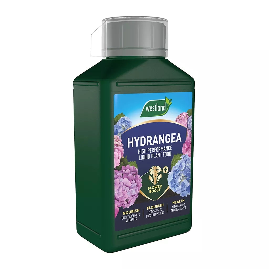 HYDRANGEA LIQUID CONC 1LT